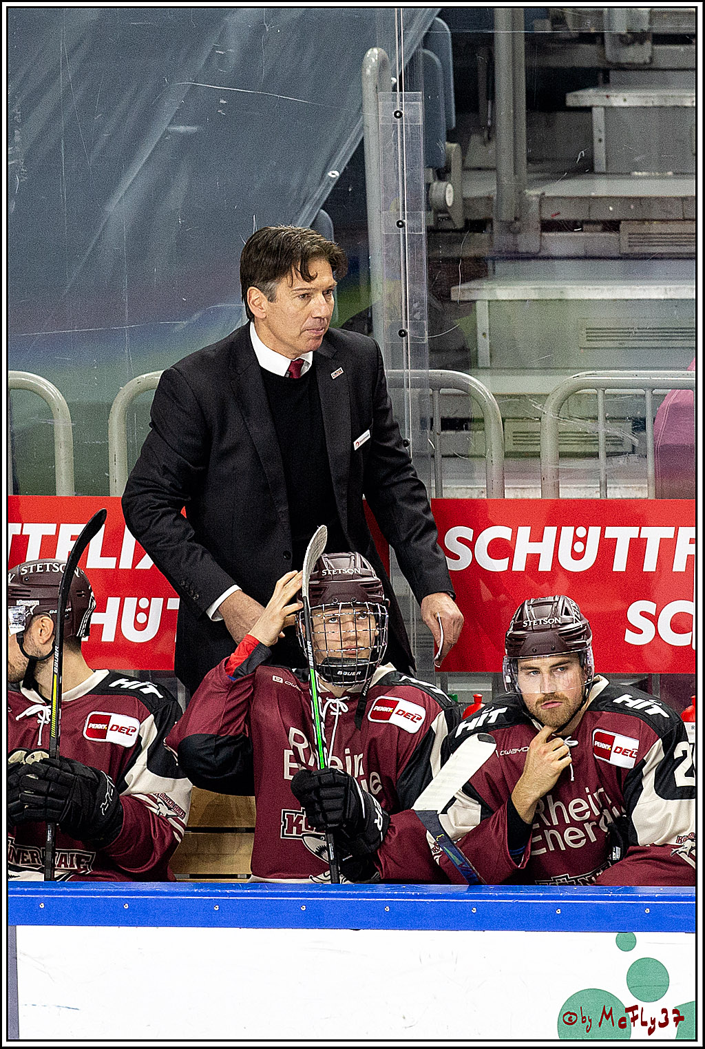 PENNY DEL;  Koelner Haie - Duesseldorfer EG ; Koeln, 17.12.2020